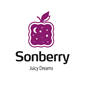 Sonberry в Саранске