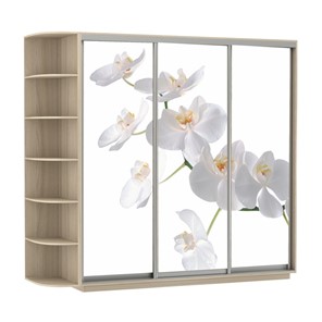Шкаф 3-х дверный Экспресс со стеллажом, 2100х600х2200, Орхидея белая/шимо светлый в Саранске