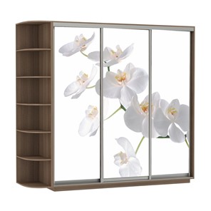 Шкаф 3-х створчатый Экспресс со стеллажом, 2100х600х2200, Орхидея белая/шимо темный в Саранске