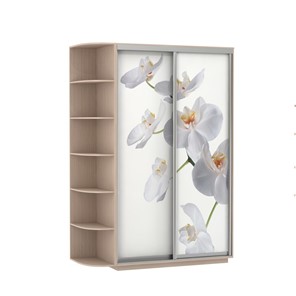 Шкаф 2-дверный Экспресс 1700x600x2200, со стеллажом, Орхидея белая/дуб молочный в Саранске