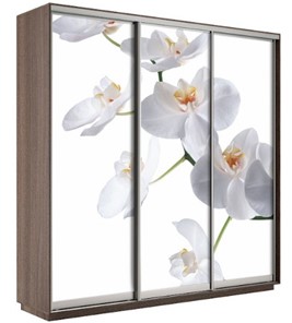 Шкаф 3-х дверный Е1 Экспресс 2100х600х2200, Орхидея белая/шимо темный в Саранске