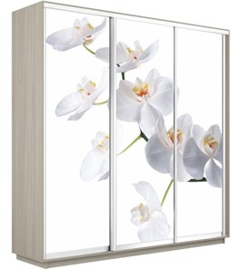 Шкаф 3-х дверный Экспресс 2400х600х2400, Орхидея белая/шимо светлый в Саранске