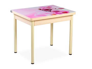 Кухонный пристенный стол СПА-02 СТФ, молочный дуб/фотопечать орхидея/опоры бежевый в Саранске