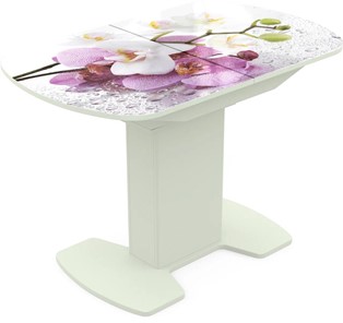 Кухонный раскладной стол Корсика исп. 1 Фотопечать (Цветы №44) 1100(1415)*700 в Саранске