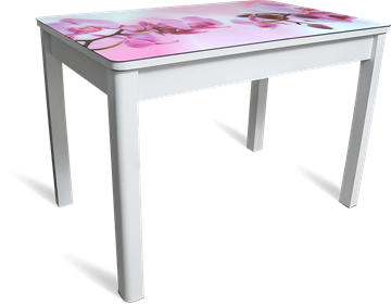 Кухонный раздвижной стол Айсберг мини СТФ, белое лдсп/орхидея/40 прямые массив белые в Саранске