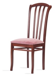 Обеденный стул Веер-Ж (нестандартная покраска) в Саранске