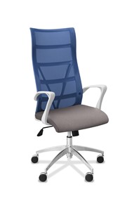 Офисное кресло для руководителя Топ X белый каркас, сетка/ткань TW / синяя/серая в Саранске