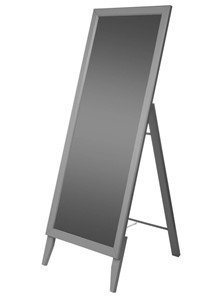 Напольное зеркало BeautyStyle 29 (131х47,1х41,5см) Серый в Саранске