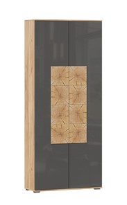 Шкаф двухстворчатый Фиджи с декоративными накладками 659.310, Дуб Золотой/Антрацит в Саранске