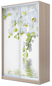 Шкаф 2-х створчатый 2400х1682х620, Белая Орхидея ХИТ 24-17-77-05 Ясень Шимо Светлый в Саранске