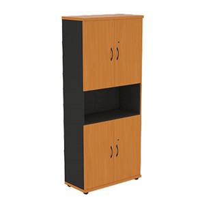 Шкаф для бумаг Моно-Люкс R5S22 в Саранске