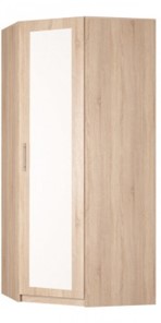 Угловой шкаф распашной Реал (YR-230х884 (9)-М Вар.1), с зеркалом в Саранске - предосмотр