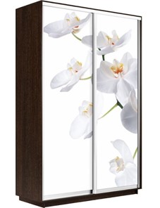 Шкаф Экспресс 1400x600x2400, Орхидея белая/венге в Саранске