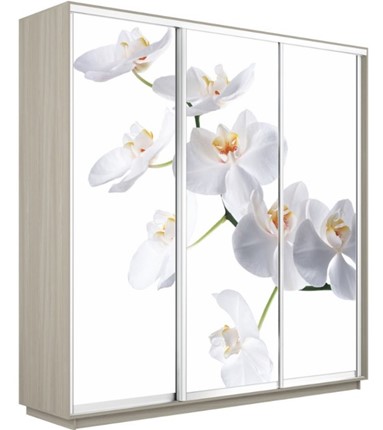 Шкаф 3-дверный Экспресс 1800х600х2200, Орхидея белая/шимо светлый в Саранске - изображение