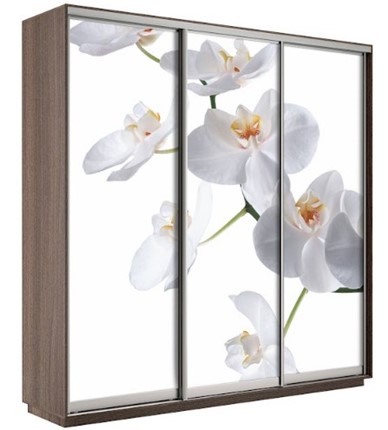 Шкаф 3-х дверный Экспресс 2100х600х2200, Орхидея белая/шимо темный в Саранске - изображение