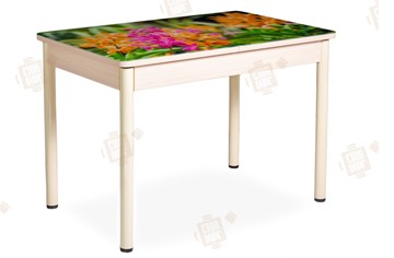 Кухонный стол раздвижной Айсберг-02 СТФ, Дуб ЛДСП/полевые цветы/ноги крашеные в Саранске
