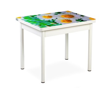 Кухонный пристенный стол СПА-01 СТФ, белый/фотопечать ромашки/опоры прямые белые в Саранске