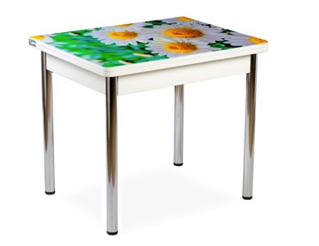 Кухонный пристенный стол СПА-02 СТФ, белый/фотопечать ромашки/опоры хром в Саранске