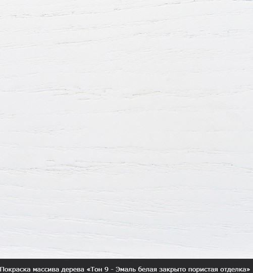 Стол раздвижной Фабрицио-1 исп. Круг 820, Тон 9 (Морилка/Эмаль) в Саранске - изображение 16