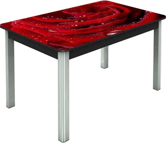 Кухонный стол раскладной Гамбург исп. Мини, ноги метал. крашеные №23, Фотопечать (Цветы №39) в Саранске