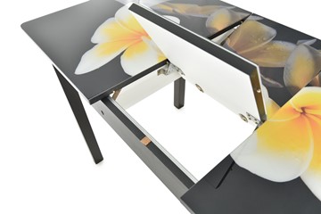 Кухонный раздвижной стол Гамбург исп.1 ноги метал. крашеные №23, Фотопечать (Цветы №11) в Саранске - предосмотр 5