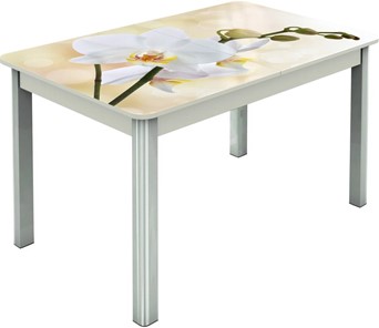 Кухонный стол раздвижной Гамбург исп.2 ноги метал. крашеные №23, Фотопечать (Цветы №5) в Саранске