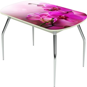 Кухонный раскладной стол Ривьера исп.1 ноги метал. крашеные №24 Фотопечать (Цветы №16) в Саранске
