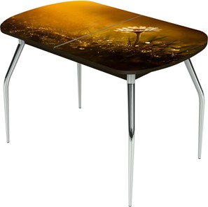 Кухонный раздвижной стол Ривьера исп.2 ноги метал. крашеные №24 Фотопечать (Цветы №43) в Саранске