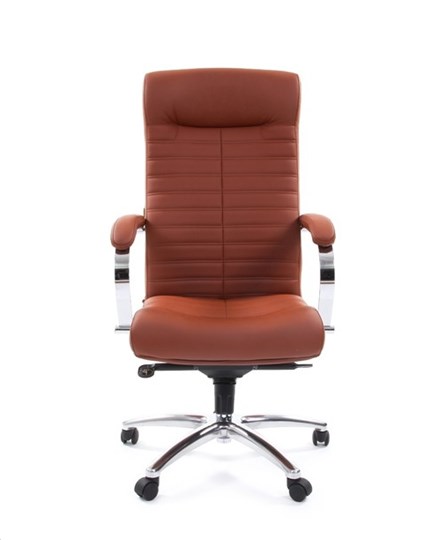 Кресло компьютерное CHAIRMAN 480 Экокожа Terra 111 (коричневая) в Саранске - изображение 1