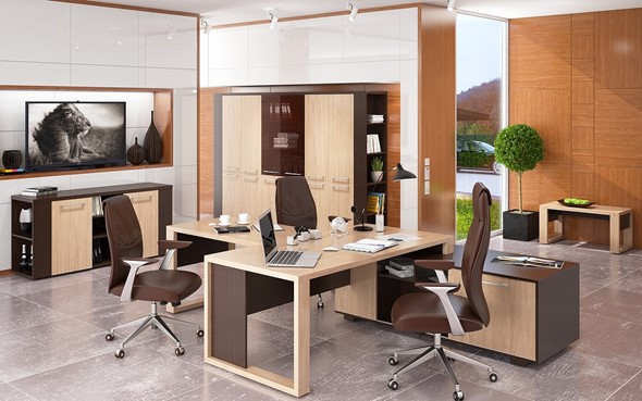 Кабинет руководителя ALTO с брифинг-приставкой, с низким и высокими шкафами в Саранске - изображение