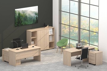 Офисный набор мебели Twin в Саранске - предосмотр 4