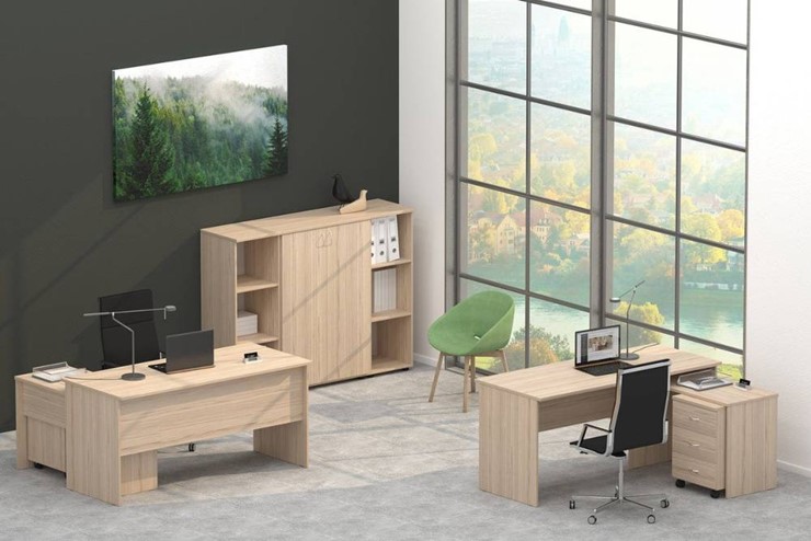 Офисный набор мебели Twin в Саранске - изображение 4