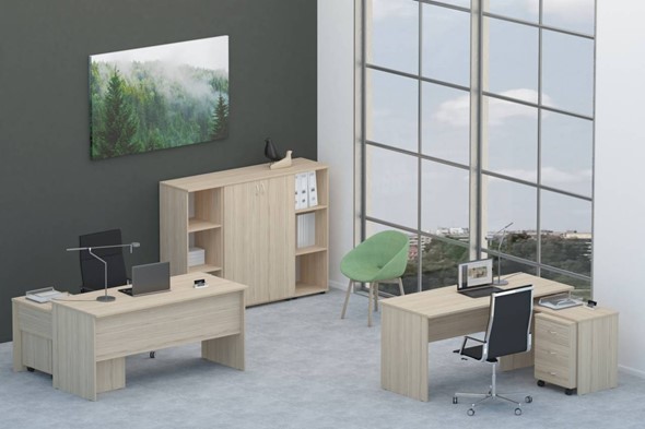 Набор мебели в офис Twin для 2 сотрудников со шкафом для документов в Саранске - изображение