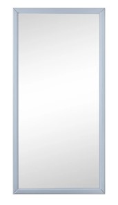 Зеркало навесное в гардероб Ника (Серый) 119,5 см x 60 см в Саранске