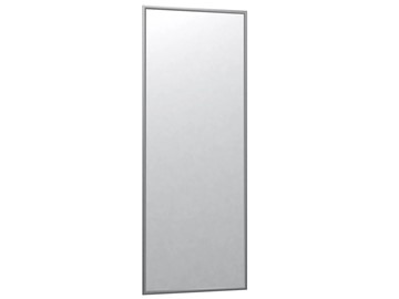 Настенное зеркало Сельетта-6 матовое серебро (1100х400х9) в Саранске