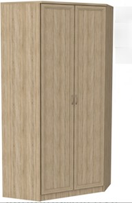 Шкаф распашной 403 несимметричный, цвет Дуб Сонома в Саранске - предосмотр