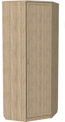 Шкаф распашной 400 угловой, цвет Дуб Сонома в Саранске - изображение