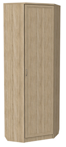 Шкаф распашной 402 угловой со штангой, цвет Дуб Сонома в Саранске - предосмотр