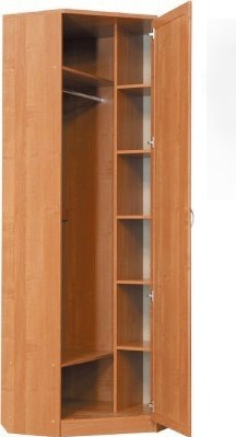 Шкаф распашной 402 угловой со штангой, цвет Дуб Сонома в Саранске - изображение 1