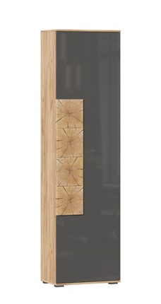 Шкаф одностворчатый Фиджи с декоративными накладками 659.300, Дуб Золотой/Антрацит в Саранске - изображение