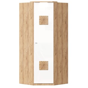 Шкаф угловой 45 с декоративной накладкой Фиджи, 659.248, белый в Саранске - предосмотр