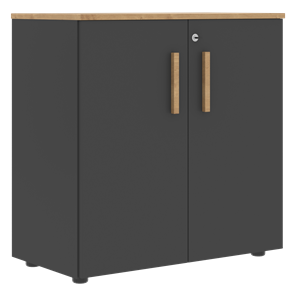 Низкий шкаф с малыми дверцами широкий FORTA Графит-Дуб Гамильтон  FLC 80.1(Z) (798х404х801) в Саранске